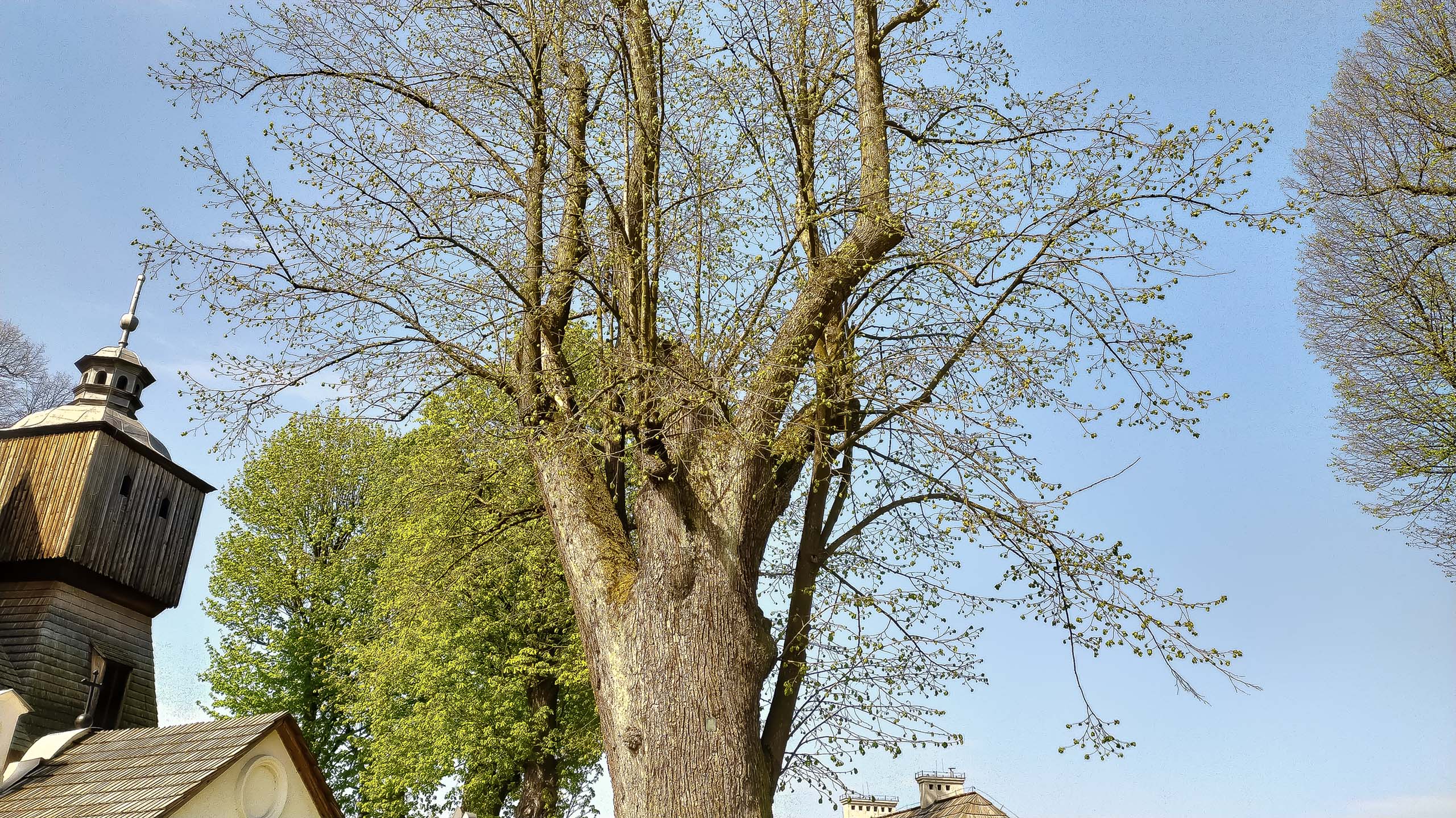 IMG 20200510 094123 kopia